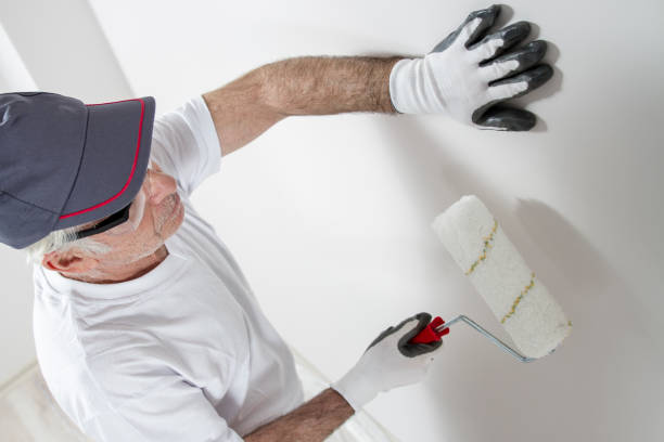 Best Industrial Mold Remediation  in San Manuel, AZ