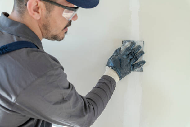 Best Crawl Space Mold Remediation  in San Manuel, AZ