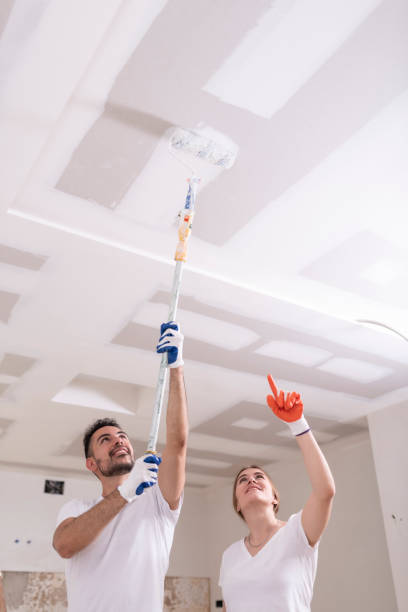 Best Mold Remediation for Vacation Homes  in San Manuel, AZ