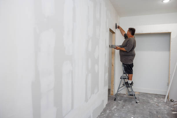 Best Mold Documentation for Insurance Claims  in San Manuel, AZ