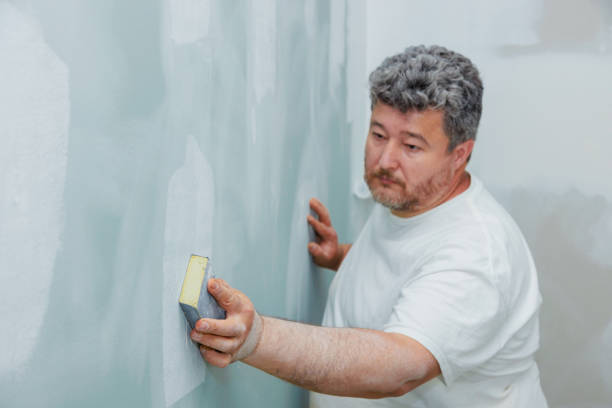 Mold Remediation for Vacation Homes in San Manuel, AZ