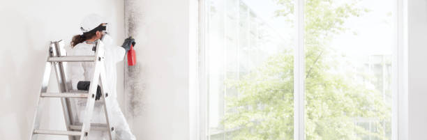 Best Mold Remediation for Healthcare Facilities  in San Manuel, AZ